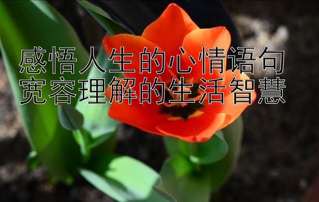 感悟人生的心情语句 宽容理解的生活智慧