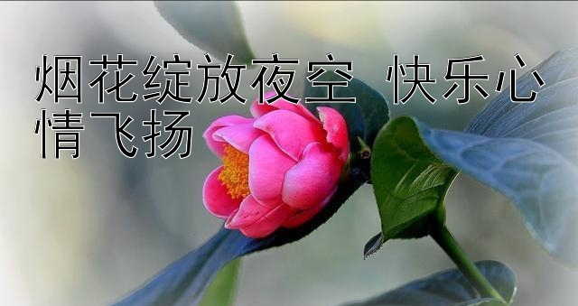 烟花绽放夜空 快乐心情飞扬