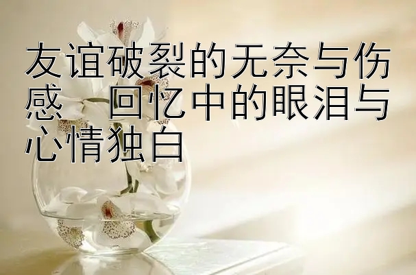 友谊破裂的无奈与伤感  回忆中的眼泪与心情独白