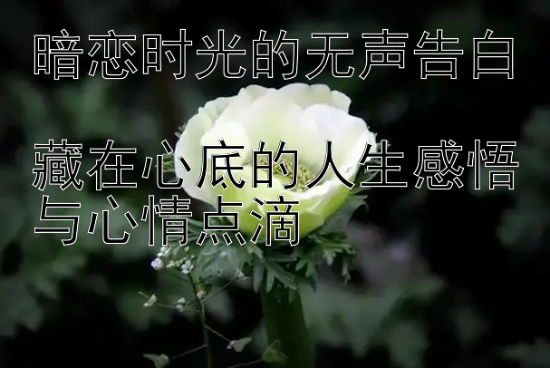 暗恋时光的无声告白  
藏在心底的人生感悟与心情点滴