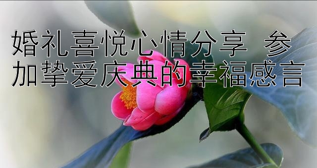 婚礼喜悦心情分享 参加挚爱庆典的幸福感言