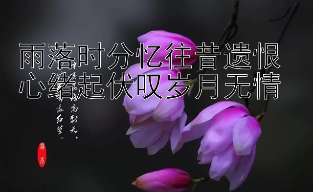 雨落时分忆往昔遗恨 心绪起伏叹岁月无情