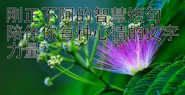 刚正不阿的智慧短句  
陪伴你每种心情的文字力量