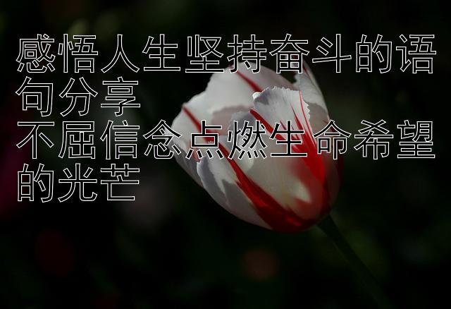 感悟人生坚持奋斗的语句分享  
不屈信念点燃生命希望的光芒