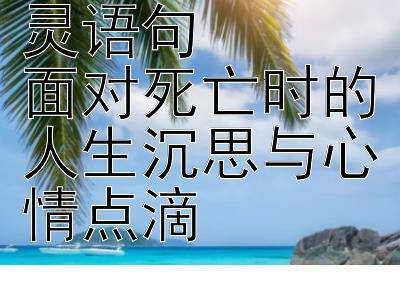 感悟生死的心灵语句  
面对死亡时的人生沉思与心情点滴