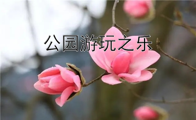 公园游玩之乐